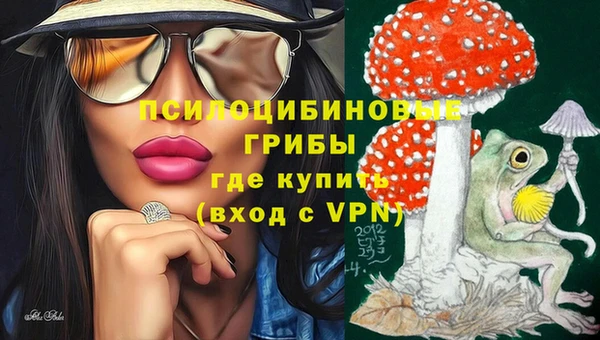 винт Осташков