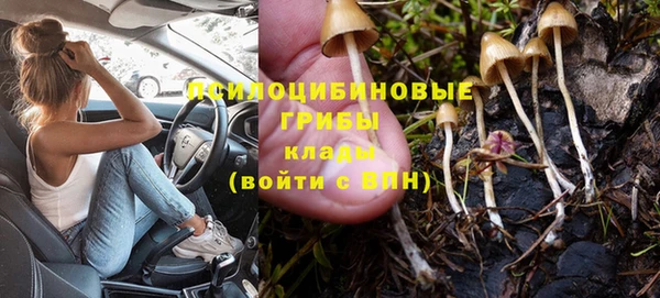 альфа пвп Осинники