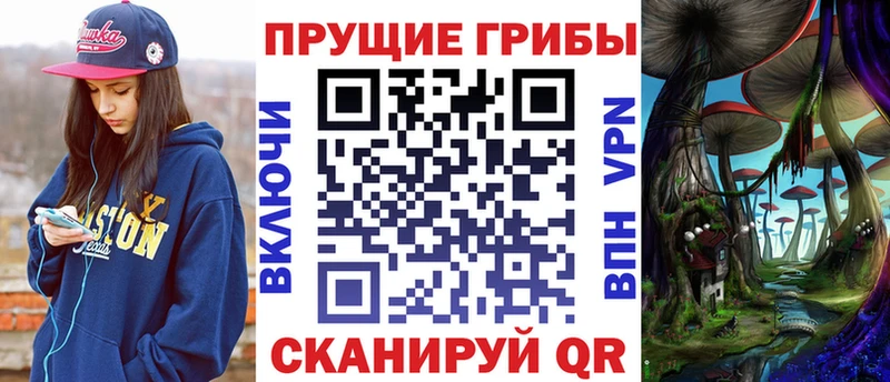 наркотики Суздаль мориарти как зайти Галлюциногенные грибы прущие грибы ОМГ ОМГ как зайти